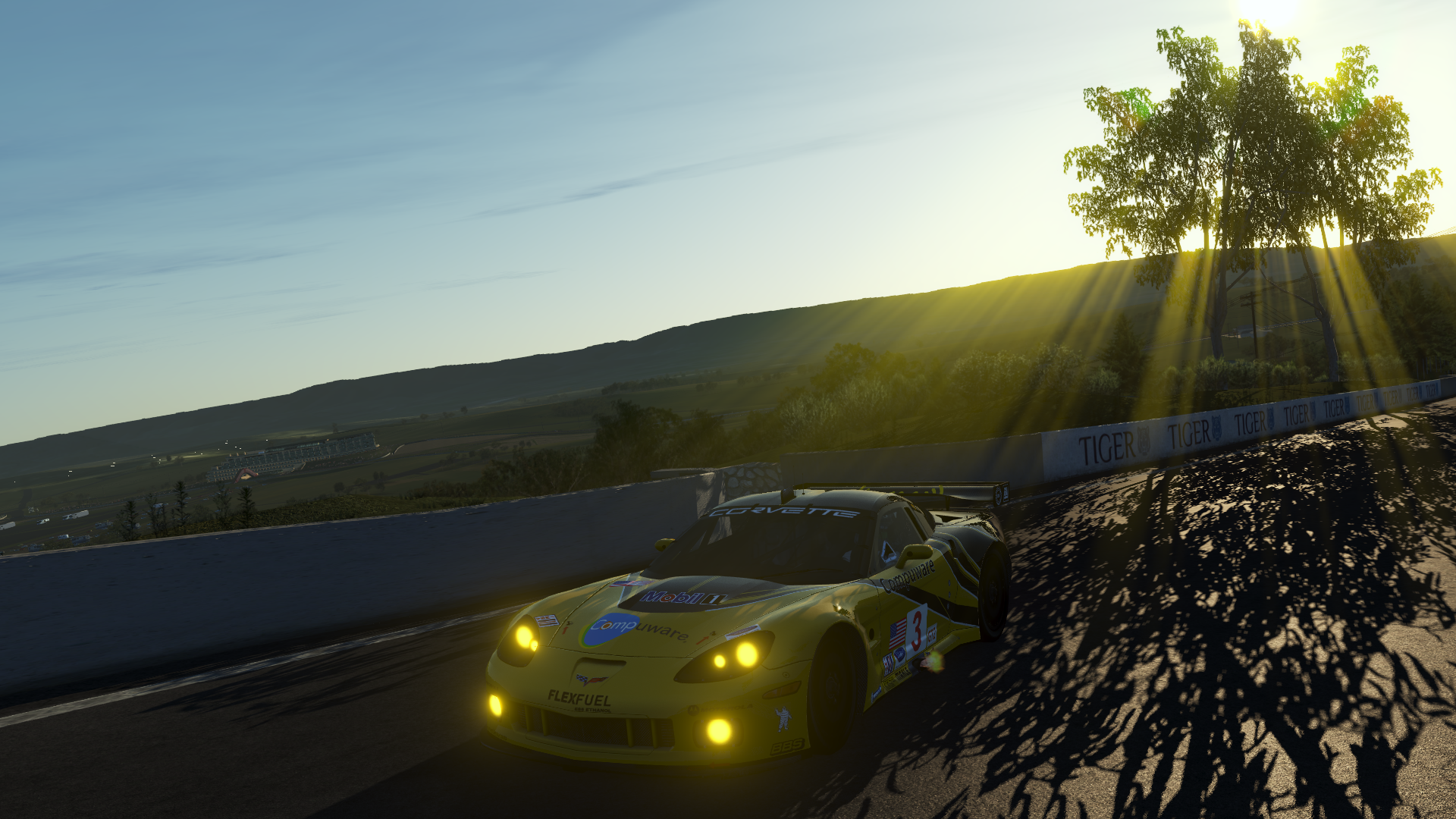 Infos Rfactor2 (Decembre 2017) Corvette-bathurst